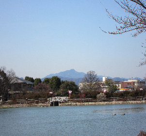 長岡天神