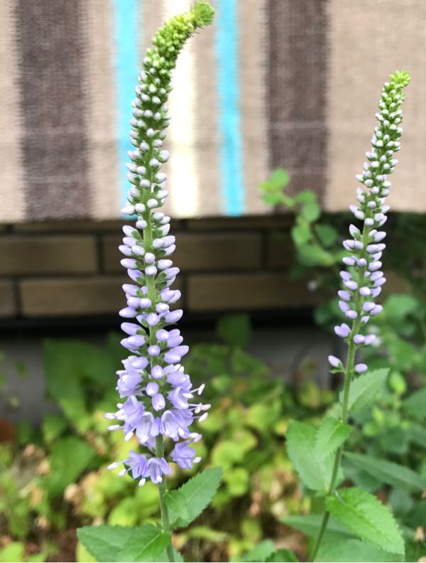 rblog-20180624180114-00.jpg