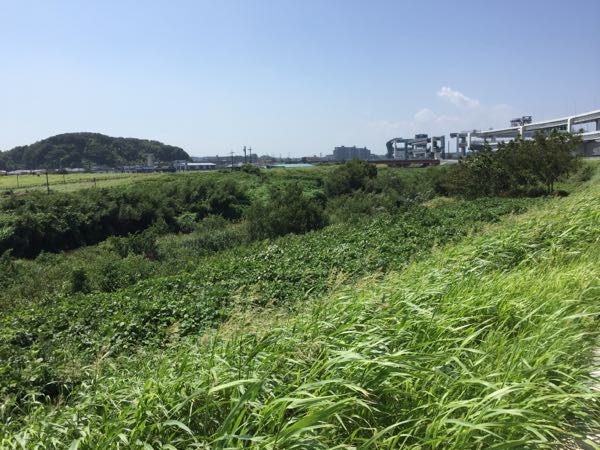 rblog-20180906071850-01.jpg
