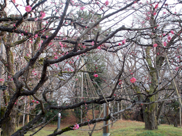 DSCN5465.jpg