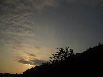 IMG_8763.JPG