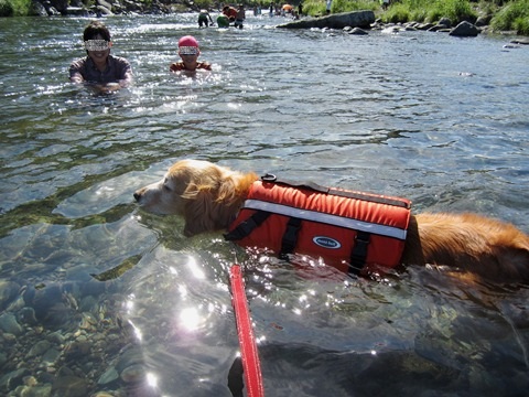 2012-0826-04.jpg