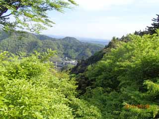 高尾山0429-1.jpg