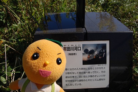 s-DSC_0464.jpg