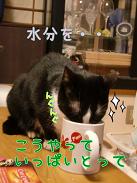水分.JPG