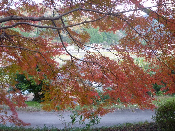 P1070326.JPG