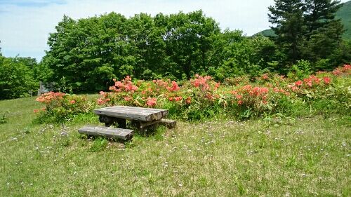 rblog-20160604114042-03.jpg
