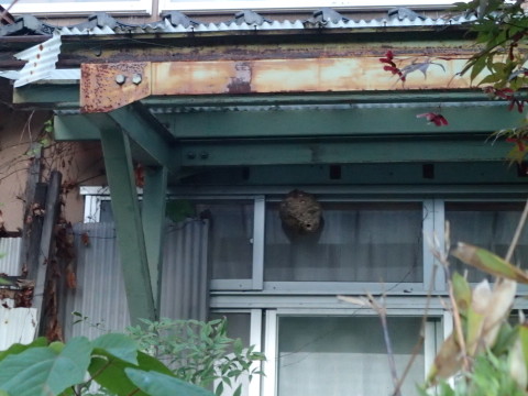 nitijou131023003
