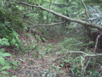 20120624_97.jpg