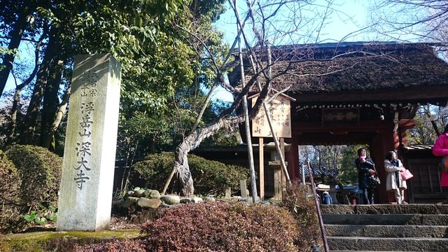 2016-01-31 09.53.00.jpg