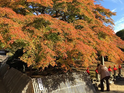 ８番・西善寺。