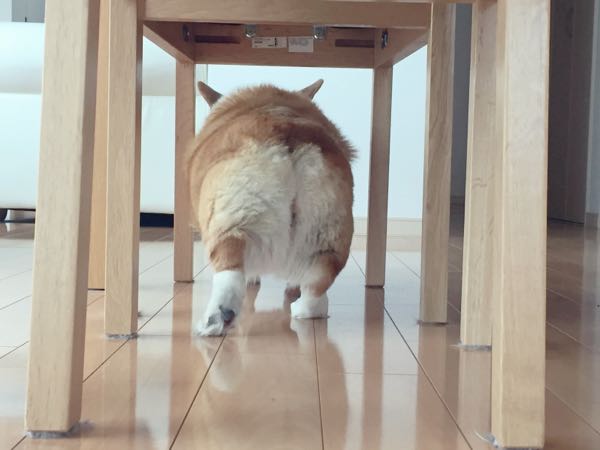 rblog-20160311215641-02.jpg