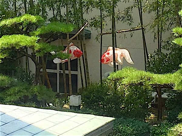 rblog-20160731154339-09.jpg