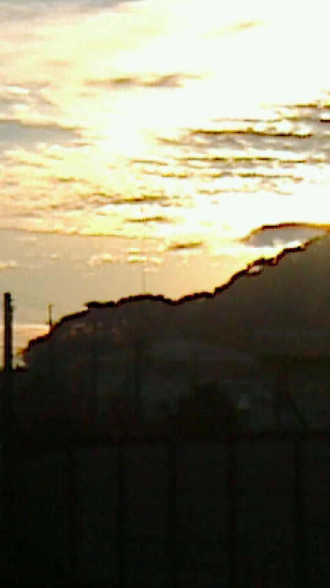 NEC_0439.JPG