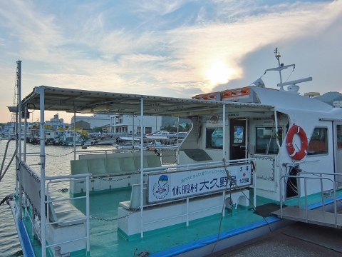 うさぎ島 大久野島 rabbit island bunny