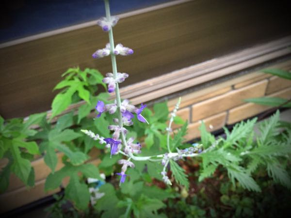rblog-20160627210333-01.jpg