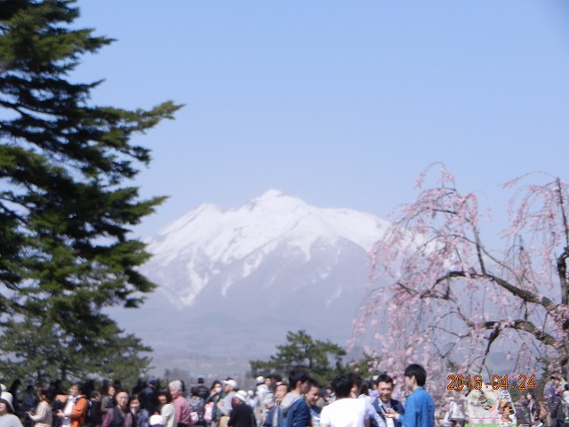 DSCN9865.jpg