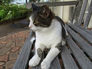 IMG_4760ss.jpg