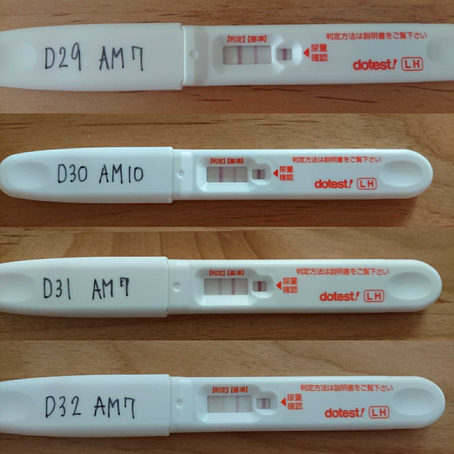 D32まで 排卵検査薬画像有 妊活ときどき日常 楽天ブログ