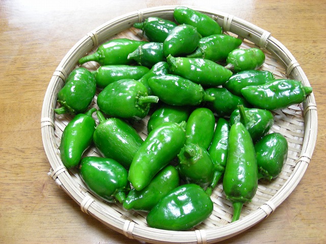 DSCN3644.jpg