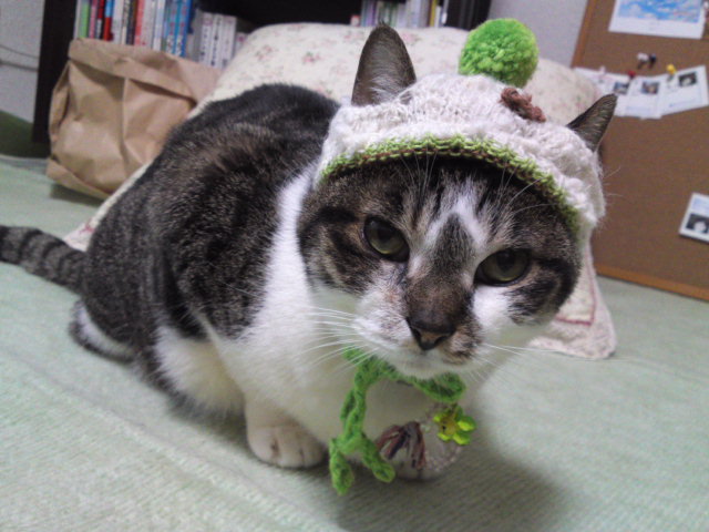 2012-04-26 07:40:25