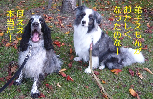 おかしい