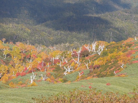 DSCN6100s.jpg