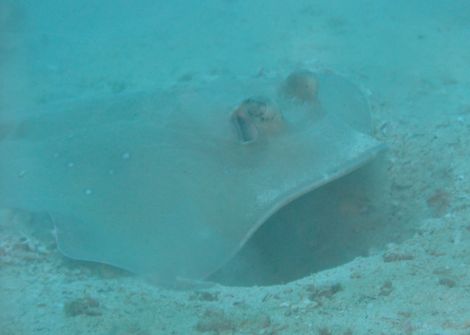 DSCF5376.JPG