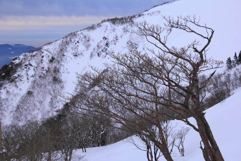 蓬莱山_004.jpg