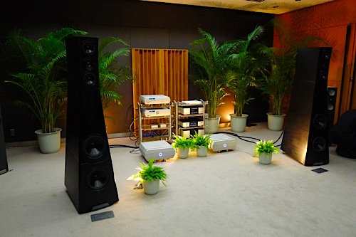 YG ACOUSTICS Sonja（ソーニャ）