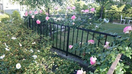 rblog-20170523184645-02.jpg