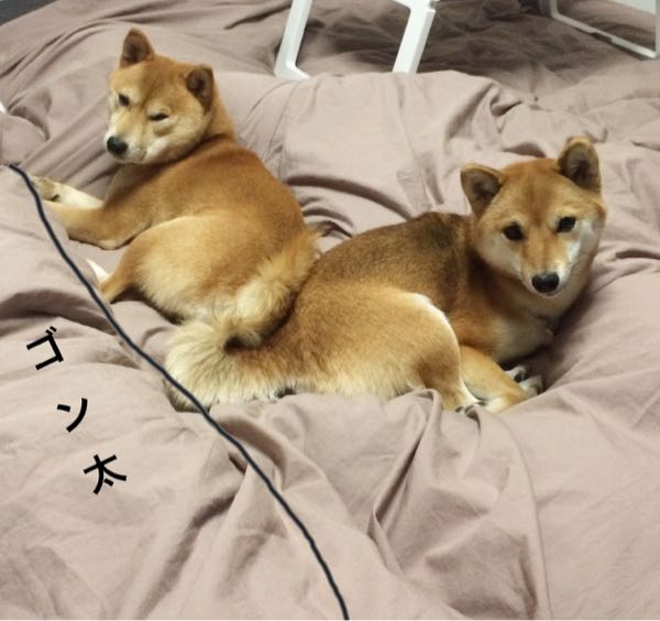 rblog-20161206120956-01.jpg