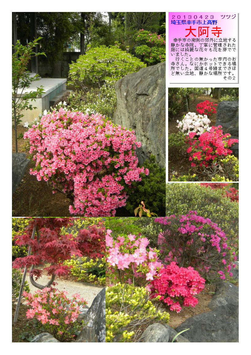 20130423sattedaiazi2-tutuzi.jpg