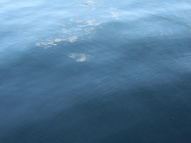 CIMG0693.jpg