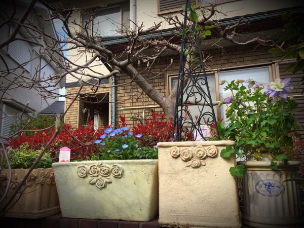 rblog-20160331165718-03.jpg