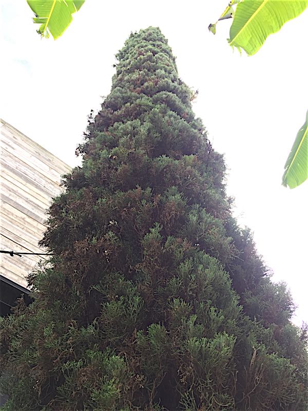 rblog-20150724130112-05.jpg
