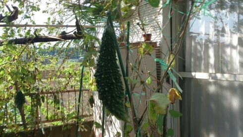 rblog-20141017160651-01.jpg