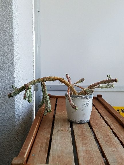 rblog-20180404111238-08.jpg