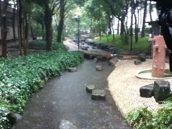 小松川境川親水公園11