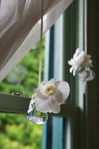 横浜山手西洋館