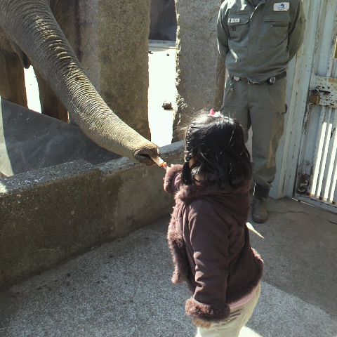 2012040114070000.JPG