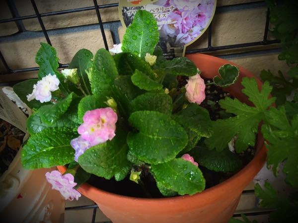 rblog-20160426005610-01.jpg