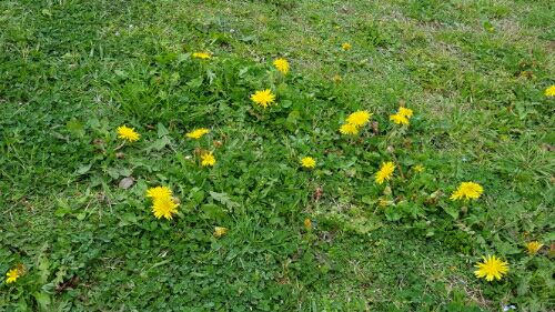 rblog-20160604161525-00.jpg