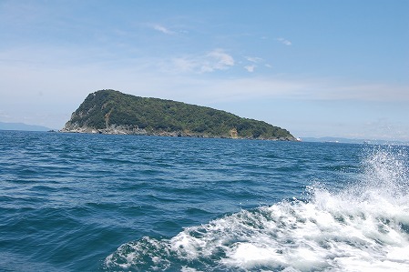 s-DSC_0439.jpg