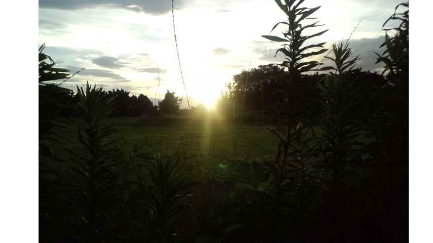 rw_120715_183043.jpg