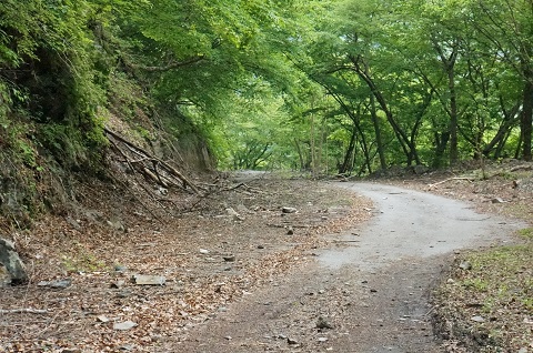 DSC07557.JPG