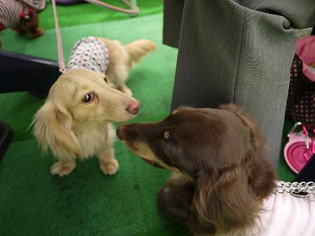 P1030021.JPG