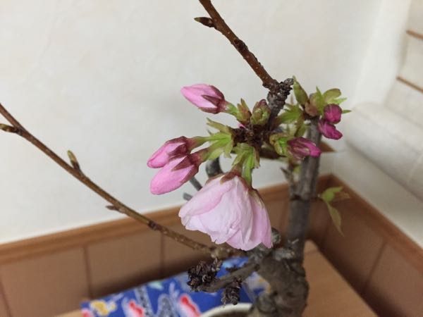 rblog-20160323180234-02.jpg