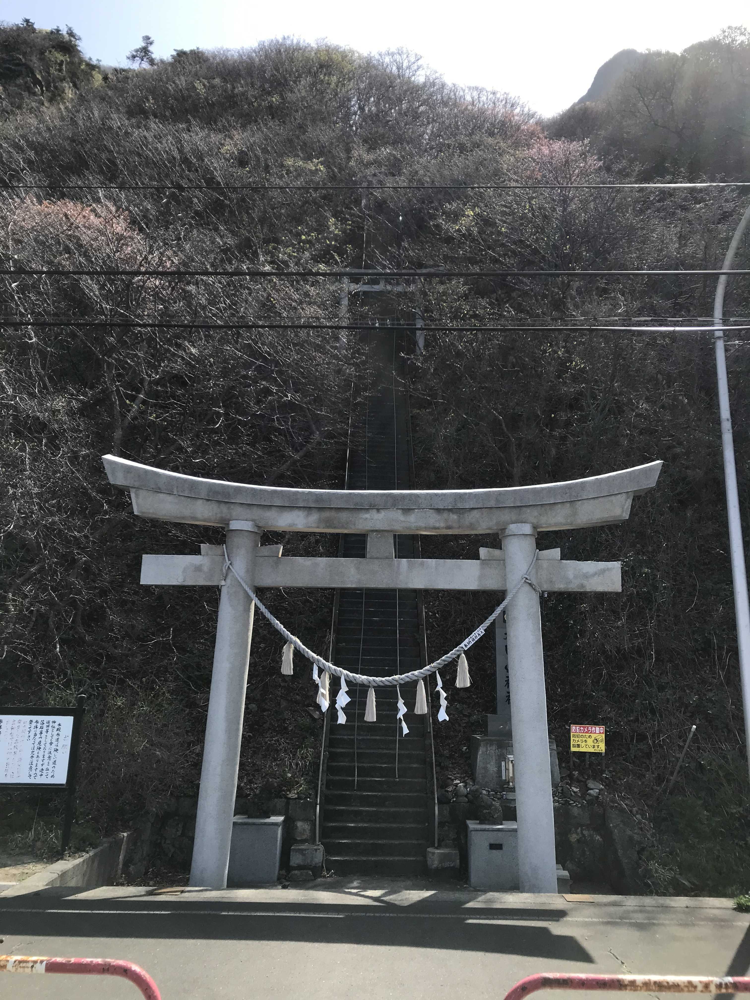 おんな♀自転車ひとり旅 - 楽天ブログ