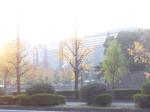 P1270492.JPG
